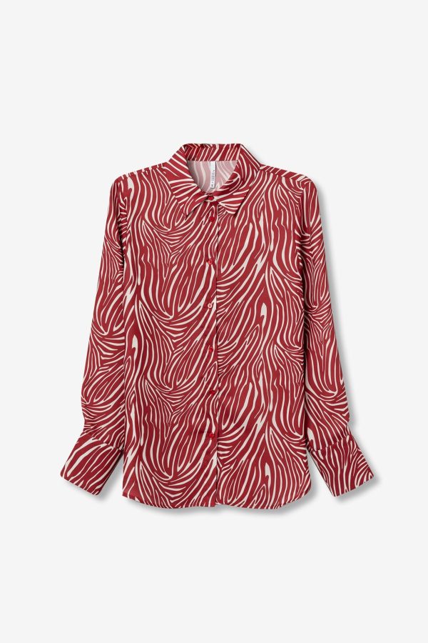 Camisa Paradise Zebra roja - Imagen 7